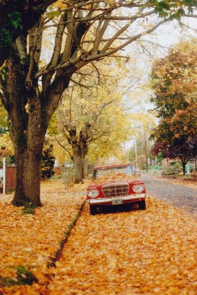 classic red car covered in golden fall leaves