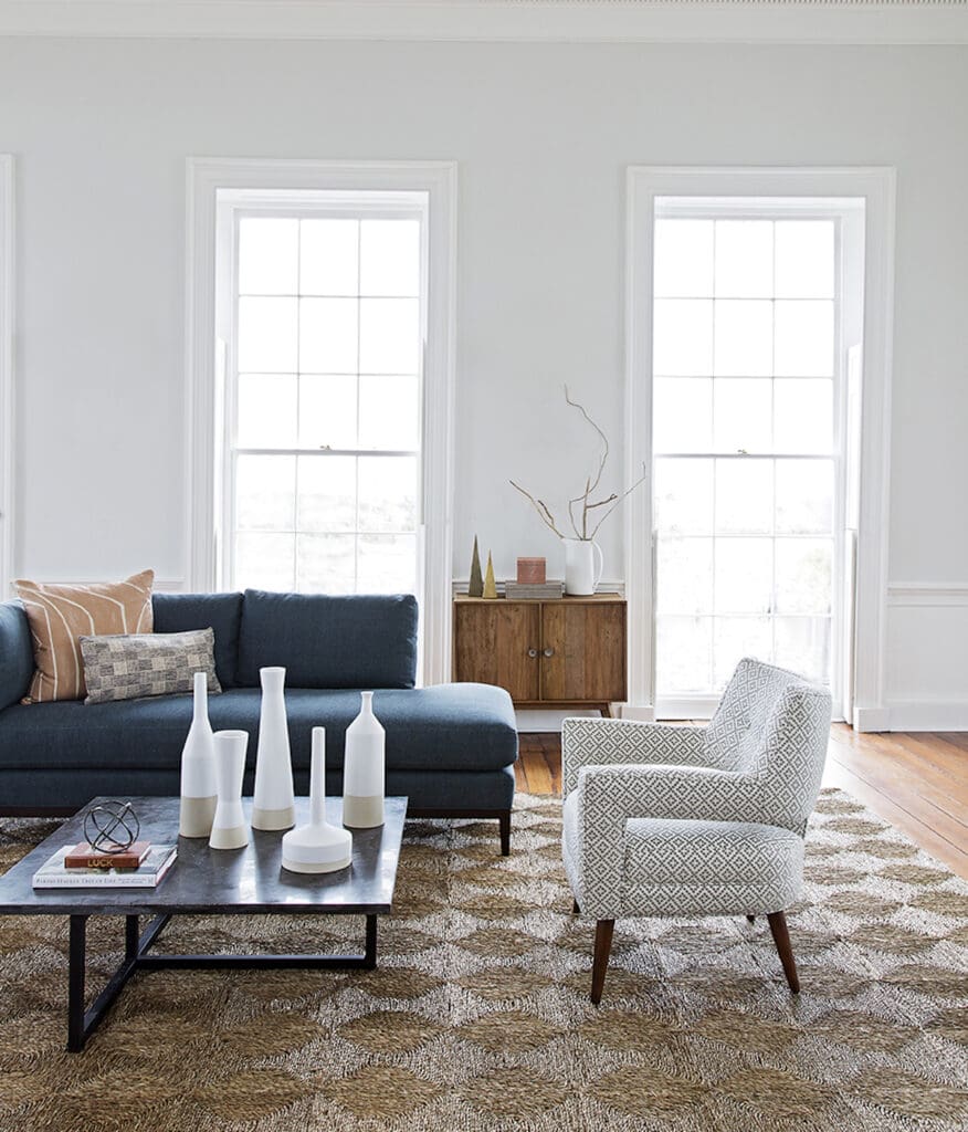 Modern Transitional Upholstery in Living Room