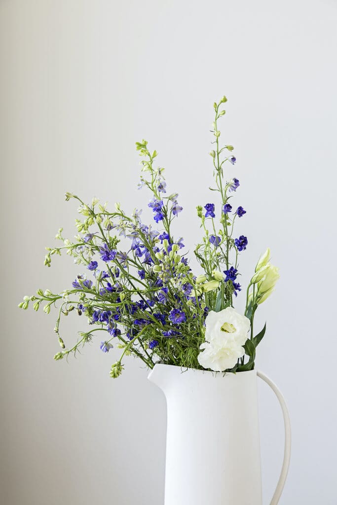 Springtime Flowers for Your Home
